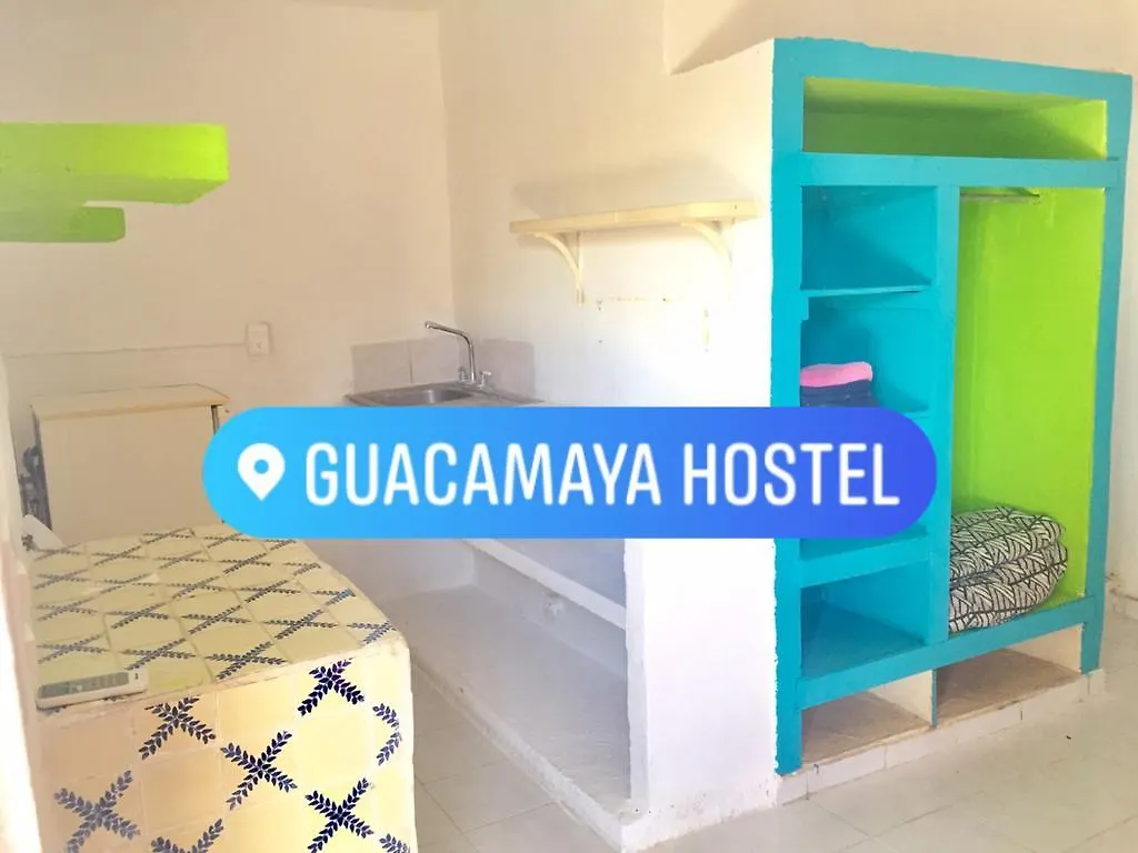 Πανσιόν Guacamaya Hostel Πλάγια Ντελ Κάρμεν Μεξικό