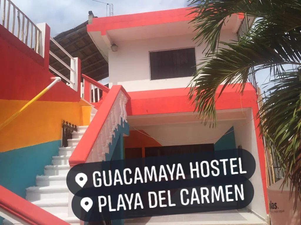 بلايا ديل كارمن Guacamaya Hostel بلايا ديل كارمن