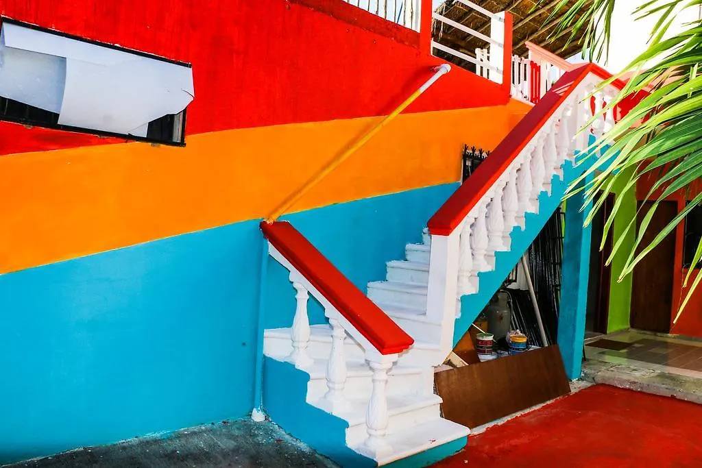بلايا ديل كارمن Guacamaya Hostel