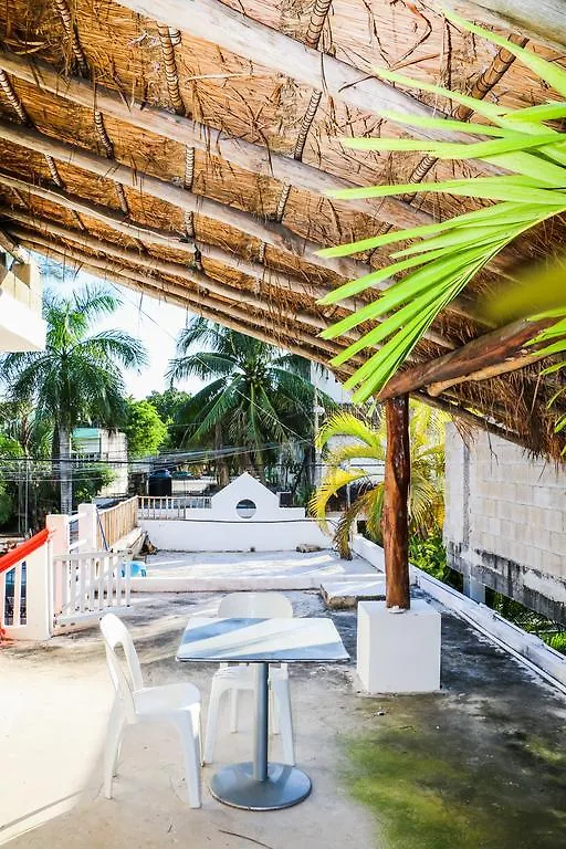 Pensionat Guacamaya Hostel Playa del Carmen